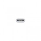Origināls Apple Lightning Micro USB adapteris MD80ZM
